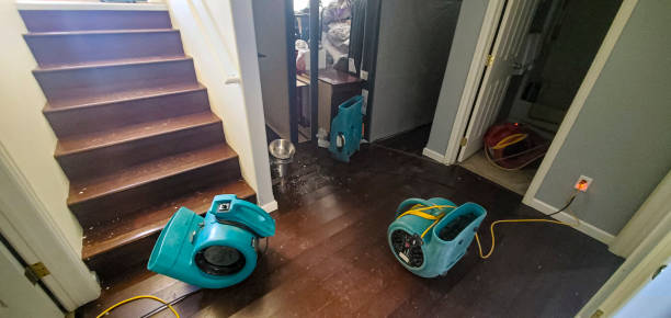 Professional Water damage restoration in Tularosa, NM