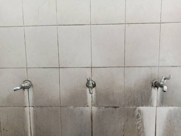 Best Basement water damage restoration  in Tularosa, NM