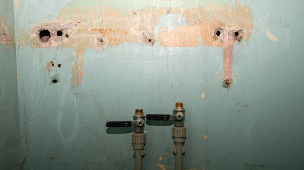 Best Mold removal after water damage  in Tularosa, NM