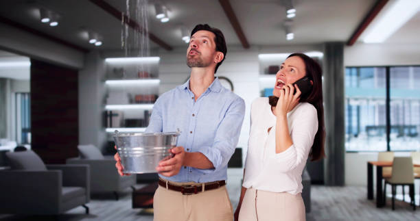 Best Professional water damage repair  in Tularosa, NM